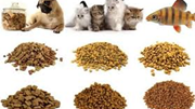 Xuất khẩu thức ăn gia súc 4 tháng đầu năm 2025 trên 388,11 triệu USD