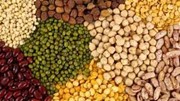 EP phê duyệt mức thuế mới đối với hàng nông sản của Nga và Belarus