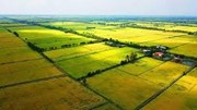 Kéo dài miễn thuế sử dụng đất nông nghiệp đến hết năm 2030