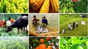 Ngành nông nghiệp quyết tâm cán đích xuất khẩu 65 tỷ USD trong năm 2025