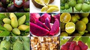 “Cửa sáng” cho nông sản Việt vào Nhật