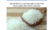 THỊ TRƯỜNG LÚA GẠO THẾ GIỚI VÀ VIỆT NAM THÁNG 6/2025: PHÂN TÍCH VÀ DỰ BÁO