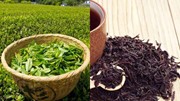 Bản tin thị trường và số liệu nhập khẩu chè Pakistan tháng 5/2025
