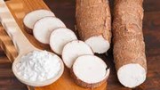 Khối lượng sắn xuất khẩu sang Trung Quốc 6 tháng đầu năm 2025 tăng 70% 
