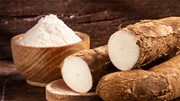 Việt Nam đứng thứ 3 thế giới về xuất khẩu sắn