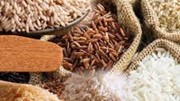 Kim ngạch xuất khẩu gạo 6 tháng đầu năm 2025 sụt giảm