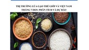 THỊ TRƯỜNG LÚA GẠO THẾ GIỚI VÀ VIỆT NAM  THÁNG 7/2025: PHÂN TÍCH VÀ DỰ BÁO