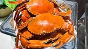 Xuất khẩu cua, ghẹ: Việt Nam kỳ vọng vượt 350 triệu USD vào cuối năm