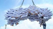 Nghiên cứu thông tin về giải pháp để gạo Việt giữ vị trí xuất khẩu thứ hai thế giới