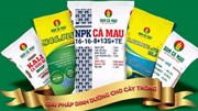 Xuất khẩu phân bón sang các thị trường 7 tháng năm 2025 
