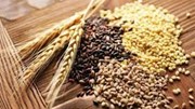 Nhập khẩu lúa mì 7 tháng đầu năm 2025 sụt giảm