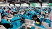 Xuất khẩu dệt, may tiếp đà khởi sắc, tăng trưởng ấn tượng
