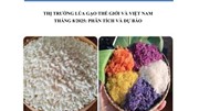 THỊ TRƯỜNG LÚA GẠO THẾ GIỚI VÀ VIỆT NAM  THÁNG 8/2025: PHÂN TÍCH VÀ DỰ BÁO