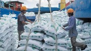 5 nhóm giải pháp trọng tâm thúc đẩy xuất khẩu gạo cuối năm