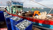 Xuất khẩu tăng tốc, thủy sản dự báo cán mốc 10 tỷ USD