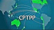Đẩy mạnh tuyên truyền CPTPP, gia tăng hiệu quả thực thi và xuất khẩu