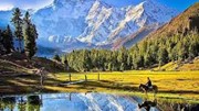 Nhập khẩu hàng hóa từ Pakistan 9 tháng năm 2025 sụt giảm mạnh