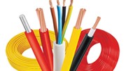 Thị trường xuất khẩu dây điện và cáp điện năm 2025 