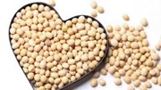 Nhập khẩu đậu tương tháng 1/2026 tăng mạnh