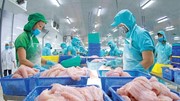 Xuất khẩu thủy sản tháng 2 chịu áp lực từ biến động thuế quan Hoa Kỳ