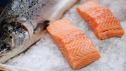 Việt Nam tiêu thụ gần 8.000 tấn cá hồi Na Uy