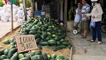 Chiến tranh thương mại Mỹ - Trung gây tăng áp lực cho nông sản Việt