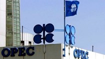Các nước thành viên OPEC và Nga cần giá dầu ở mức nào?