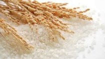 TT lúa gạo châu Á: Giá tăng tại Ấn Độ và Thái Lan, giảm tại Việt Nam