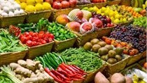 Xuất nhập khẩu rau quả duy trì đà tăng trưởng mạnh mẽ