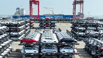 4 tháng đầu năm 2026, nhập khẩu ô tô tăng trưởng cả về lượng và trị giá