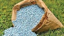 Thị trường phục hồi, xuất khẩu phân bón Việt Nam tăng trưởng mạnh