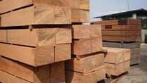 Xuất khẩu gỗ sang Hoa Kỳ sụt giảm, khối EU và Trung Quốc tăng trưởng bứt phá
