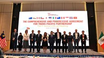 Việt Nam góp sức mở rộng không gian CPTPP