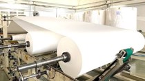 Kim ngạch xuất khẩu giấy tăng trưởng khá trong nửa đầu năm 2026