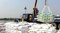 Phân bón Việt Nam xuất khẩu sang ASEAN tăng mạnh hơn 21% về lượng