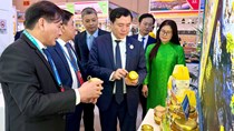 Bộ Công Thương hợp nhất các Nghị định quy định một số biện pháp phát triển ngoại thương