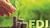 Xuất khẩu khối FDI 5 tháng đầu năm 2026 - Nhóm ngành công nghệ cao giữ vai trò chủ lực