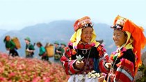 Phó Thủ tướng chỉ đạo đẩy nhanh tiến độ Chương trình mục tiêu quốc gia giai đoạn mới