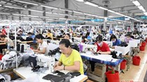 EVFTA và hàng Việt tại Bắc Âu: Hiệu quả thương mại trước sức ép tiêu chuẩn mới