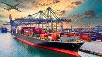 6 tháng đầu năm 2026: Nhập khẩu hàng hóa từ thị trường Anh tăng trưởng khá