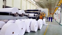 Thị trường nhập khẩu giấy Việt Nam: Trung Quốc và ASEAN chiếm ưu thế