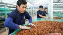 Từ lợi thế EVFTA đến ‘bài toán’ đáp ứng EUDR