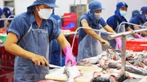Sau giày dép, đến lượt ngành thủy sản kiến nghị gỡ khó cấp C/O