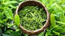 Xuất khẩu chè Việt Nam: Sụt giảm về lượng, bứt phá nhờ đòn bẩy giá