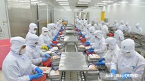 Việt Nam sắp có thêm FTA thứ 18 với khối EFTA