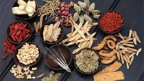 Chiến lược quốc gia phát triển nền y học cổ truyền Việt Nam đến năm 2030, tầm nhìn đến năm 2045