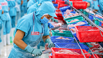 An Giang xây chuỗi logistics, kết nối cửa khẩu với thị trường