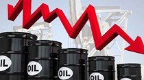 Giá dầu lao dốc khi đàm phán Mỹ - Iran bước vào giai đoạn cuối