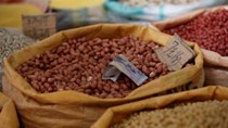 Trung Quốc cho phép nhập khẩu lạc từ Brazil
