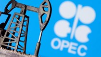 Sản lượng dầu của OPEC tháng 8 đạt mức cao nhất kể từ đầu đại dịch  